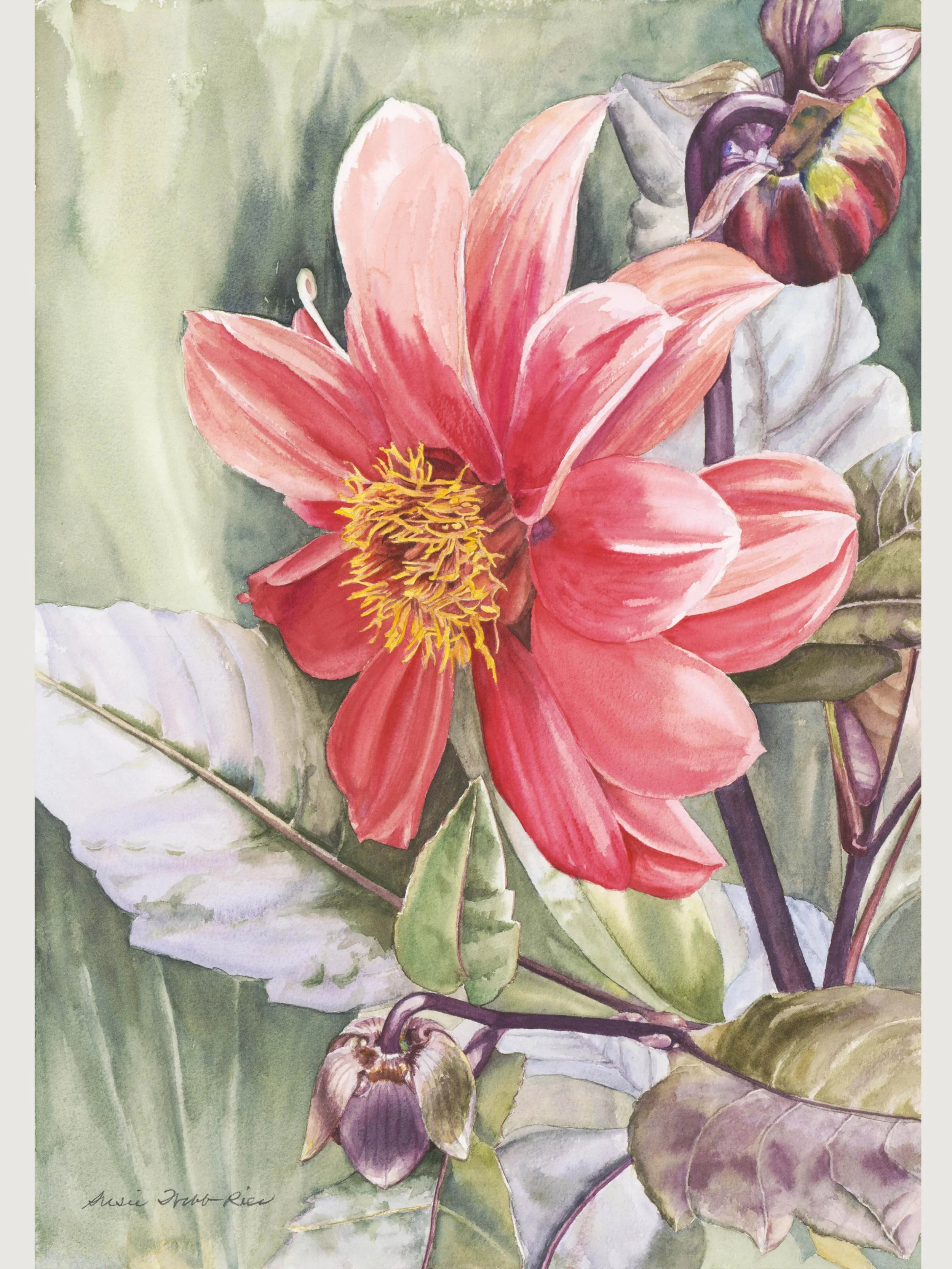 Dahlia+card.jpg?format=1500w
